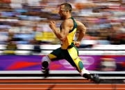 熊猫体育-赛道上的双重奏鸣，哈斯逆袭与维斯塔潘的绝对统治