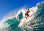 熊猫直播-东契奇爆发背后的黄蜂争冠密码，一场战胜雄鹿的战术启示